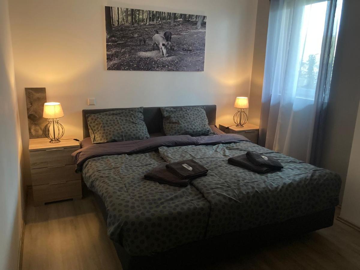 Comfortable 4-Person Apartments Winterberg 梅德巴赫 外观 照片