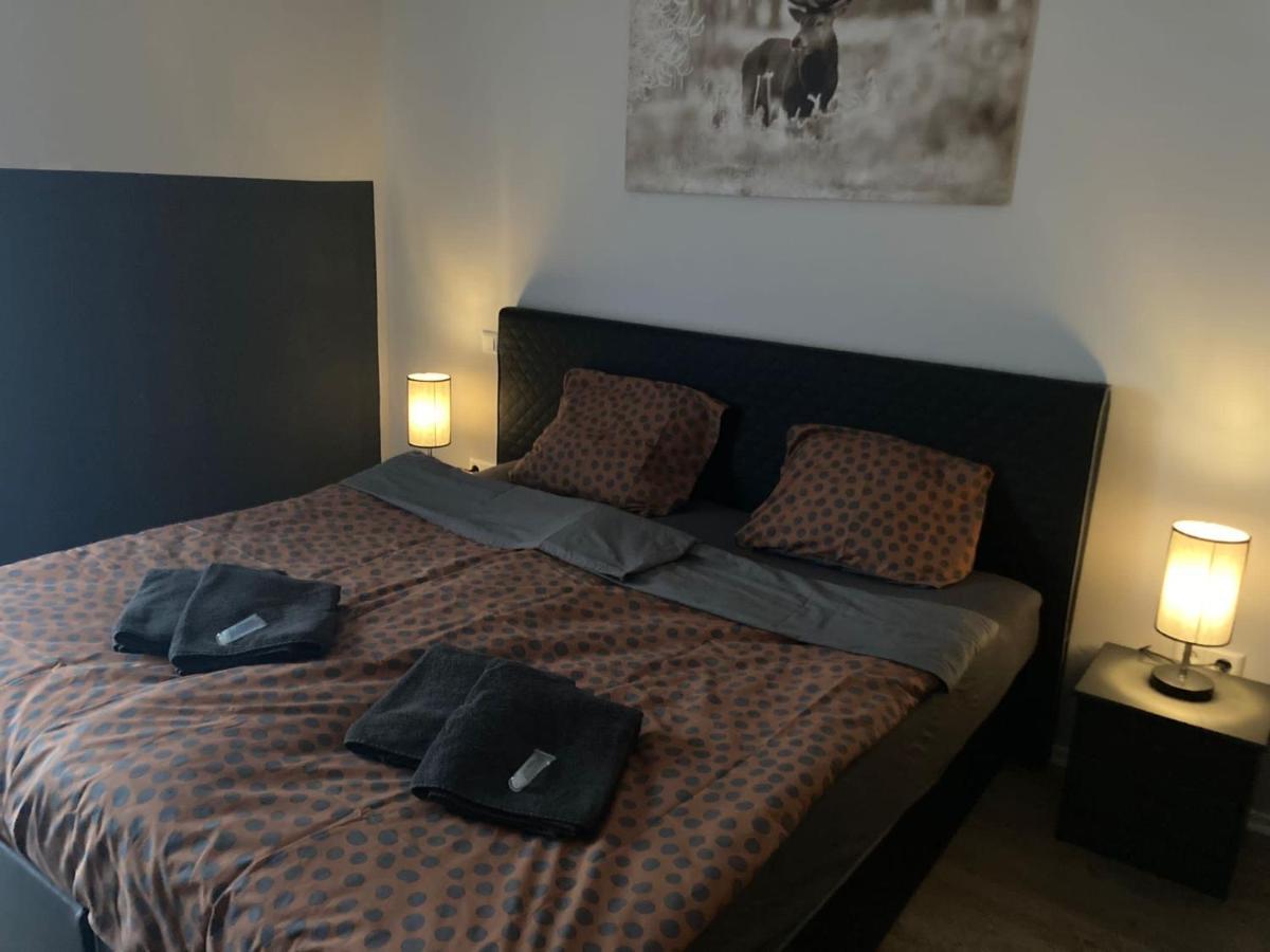Comfortable 4-Person Apartments Winterberg 梅德巴赫 外观 照片